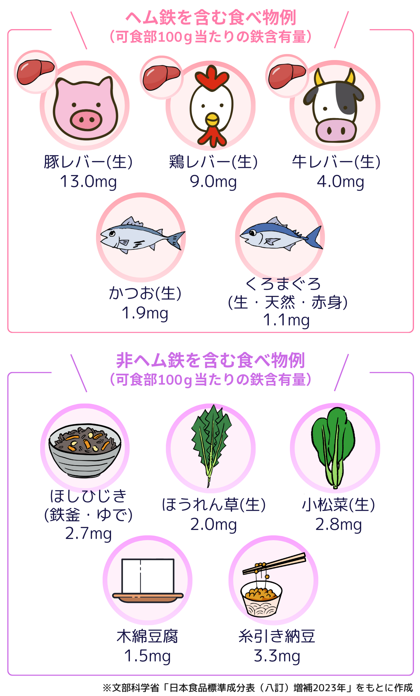 活動歴および当時の関連ビジュアル記録